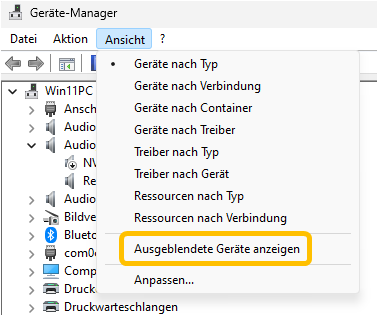 Gerätemanager Menüpunkt Ansicht